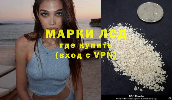 спайс Богданович